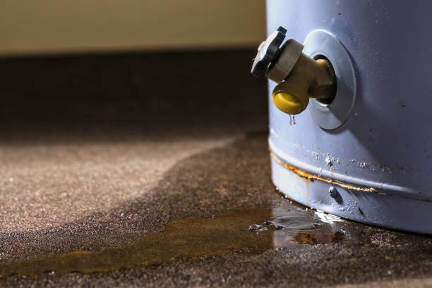 Best 24-hour water damage restoration  in Cecil Bishop, PA