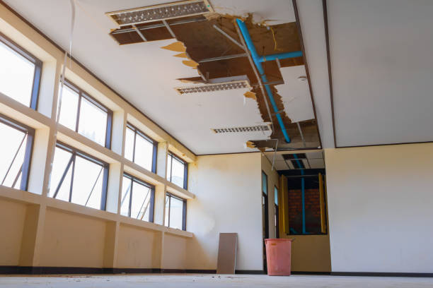 Best Sewage cleanup and water damage restoration  in Cecil Bishop, PA