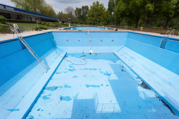 Best Local water damage restoration  in Cecil Bishop, PA
