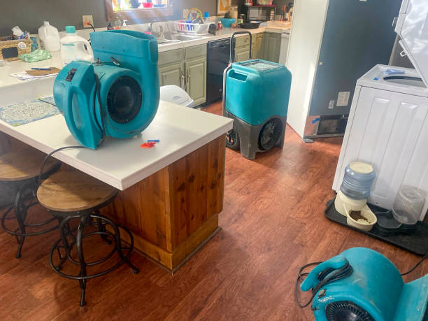Best Carpet water damage restoration  in Cecil Bishop, PA