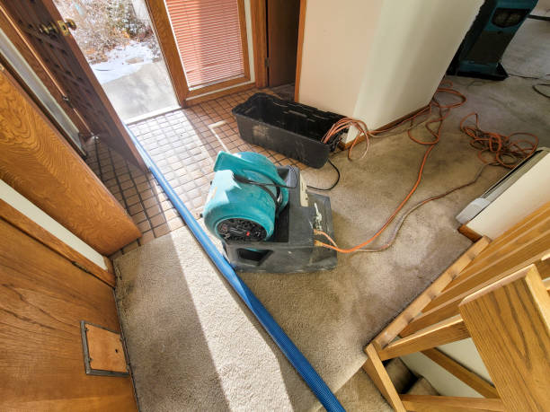 Best Flooded house restoration  in Cecil Bishop, PA