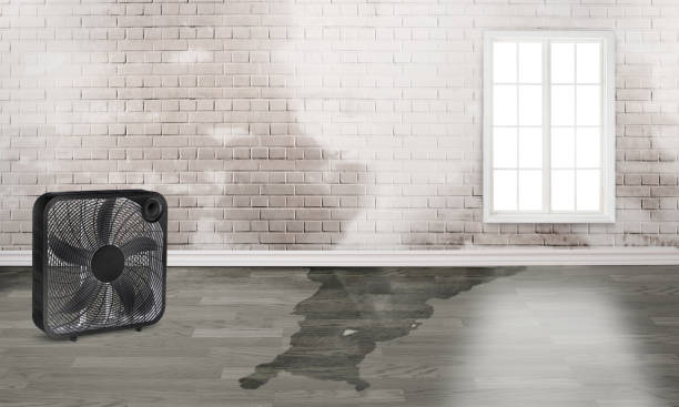 Best Emergency water damage restoration  in Cecil Bishop, PA