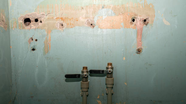 Best Residential water damage restoration  in Cecil Bishop, PA