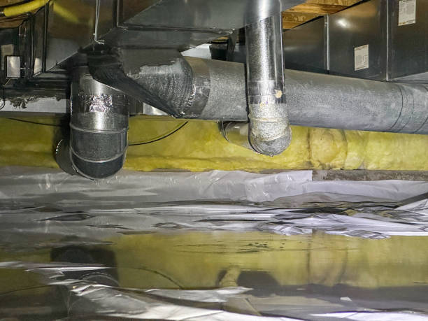Best Ceiling water damage repair  in Cecil Bishop, PA