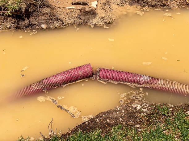 Best Professional water damage repair  in Cecil Bishop, PA