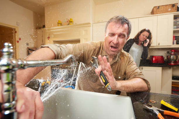 Best Water damage contractors near me  in Cecil Bishop, PA